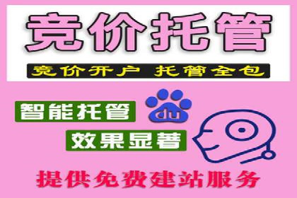 跨行业SEM广告投放的多样化案例分析